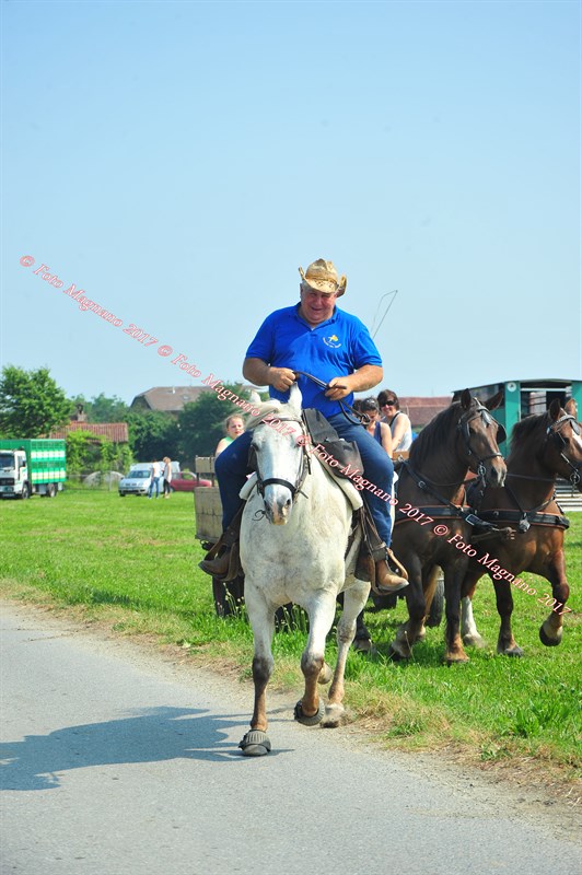 DSC_0776.JPG
